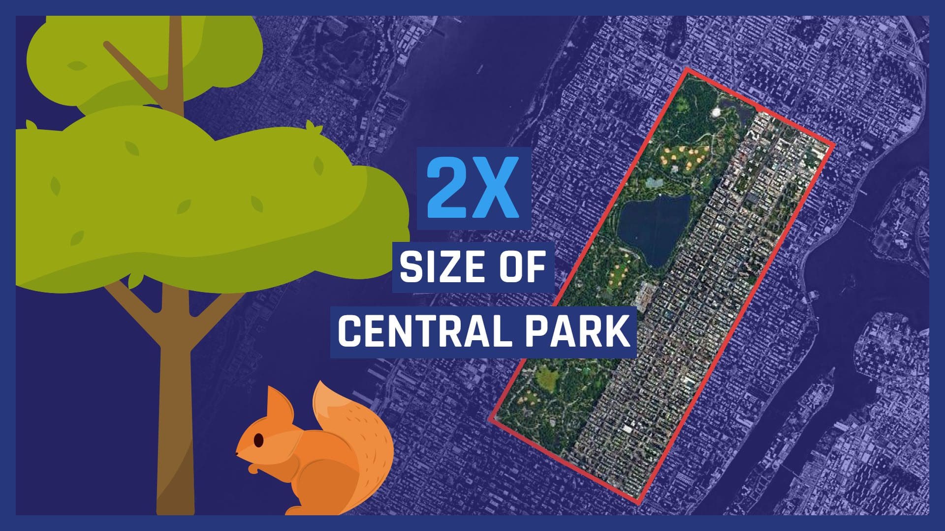 central park graphic